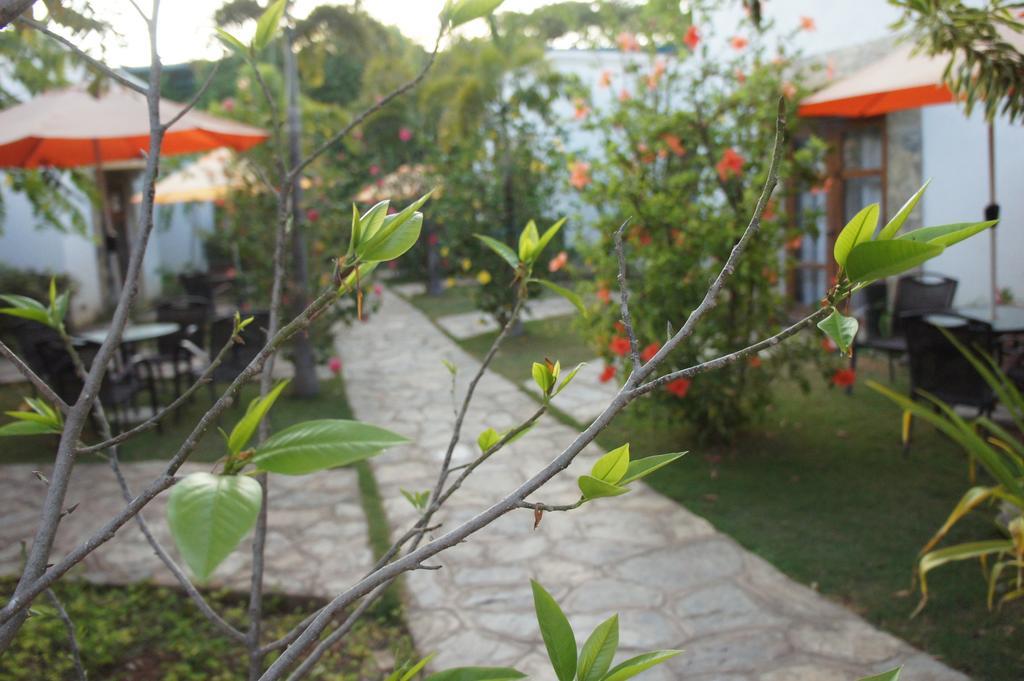 Acacia Tree Garden Hotel Puerto Princesa Exterior foto